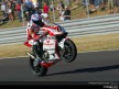 MotoGP Circuit Action Shots