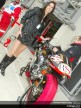 Paddock Girls Le Mans