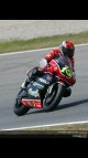 250 Circuit Action Shots