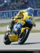 MotoGP Circuit Action Shots