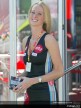 Paddock Girls - Assen