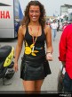 Paddock Girls - Assen