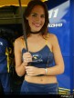Paddock Girls - Assen