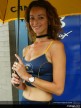 Paddock Girls - Assen