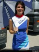 Paddock Girls - Assen