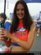 Paddock Girls Assen