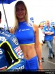 Paddock Girls Assen