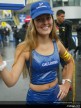Paddock Girls Assen