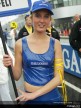 Paddock Girls Assen