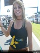 Paddock girls - Donington