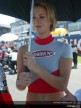Paddock girls - Donington