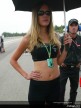 Paddock Girls - Brno