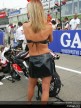 Paddock Girls - Brno