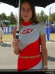 Paddock Girls - Brno