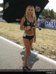 Paddock Girls - Brno