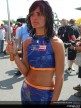 Paddock Girls - Brno