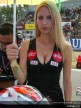 Paddock Girls - Brno