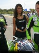 Paddock Girls - Brno