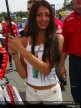 Paddock Girls - Brno