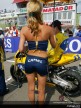 Paddock Girls - Brno