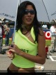 Paddock Girls - Portugal