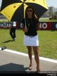 Paddock Girls - Portugal