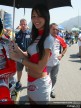 Paddock Girls - Portugal