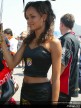 Paddock Girls - Portugal