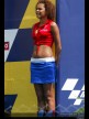 Paddock Girls - Rio