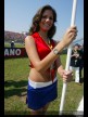Paddock Girls - Rio