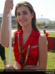 Paddock Girls - Rio