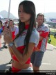 Paddock Girls - Rio