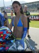 Paddock Girls - Rio