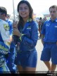 Paddock Girls - Rio