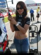 Paddock Girls - Rio