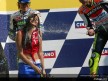 Paddock Girls - Rio