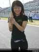 Paddock Girls - Motegi
