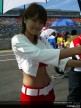 Paddock Girls - Motegi