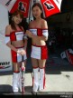 Paddock Girls - Motegi