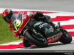 250 circuit action shots