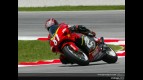 250 circuit action shots