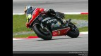 250 circuit action shots