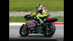 250 circuit action shots