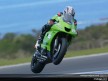 MotoGP Circuit Action Shots