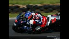 MotoGP Circuit Action Shots