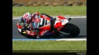 MotoGP Circuit Action Shots