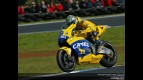 MotoGP Circuit Action Shots