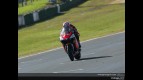MotoGP Circuit Action Shots