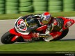 MotoGP circuit Action Shots