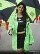 Paddock girls Jerez